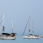 barche della flotilla