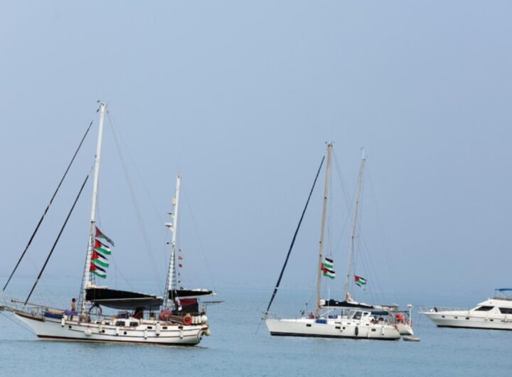 barche della flotilla