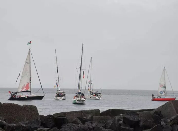 La Flotilla