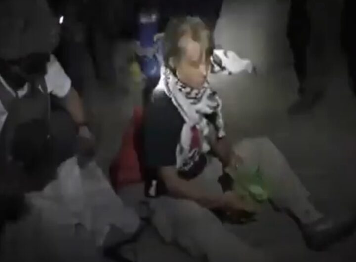 Il video di Greta Thunberg che viene fermata dalle forze israeliane