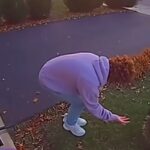 Uomo si avvicina a un'istrice