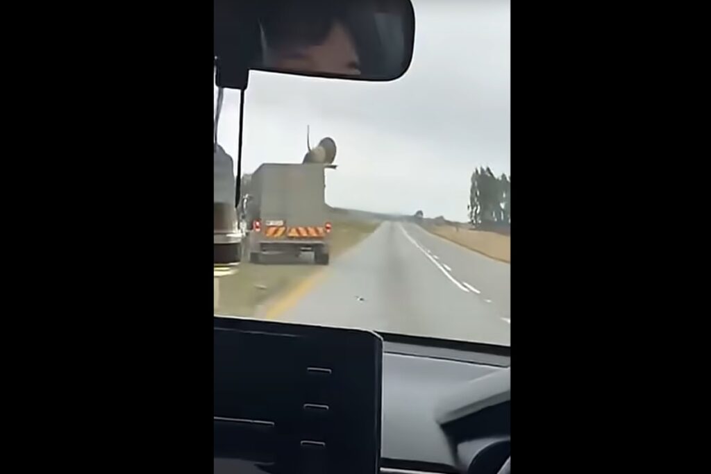 Il video del leone che scappa da un camion che lo stava portando in una fattoria