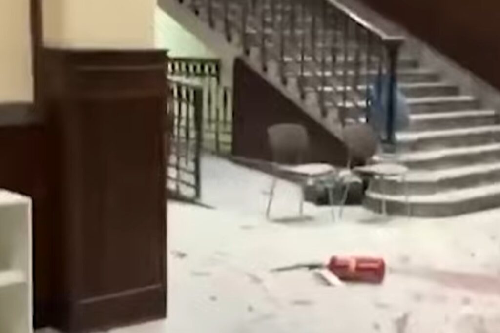 liceo genova vandali