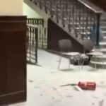 liceo genova vandali