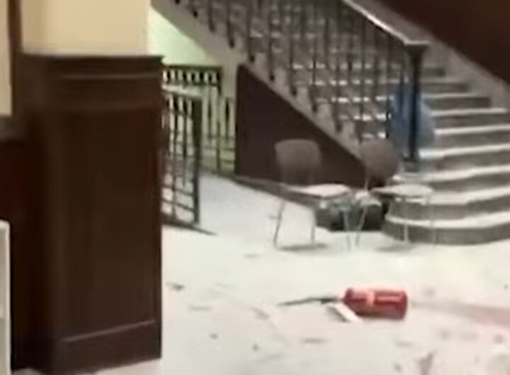 liceo genova vandali