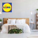 Lidl, con 4,99 euro ti rifai l'intera camera da letto