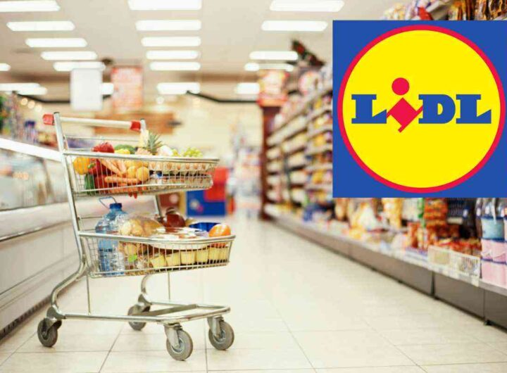 Mai visto niente del genere, con 5 euro da LIDL fai scorte fino a un mese