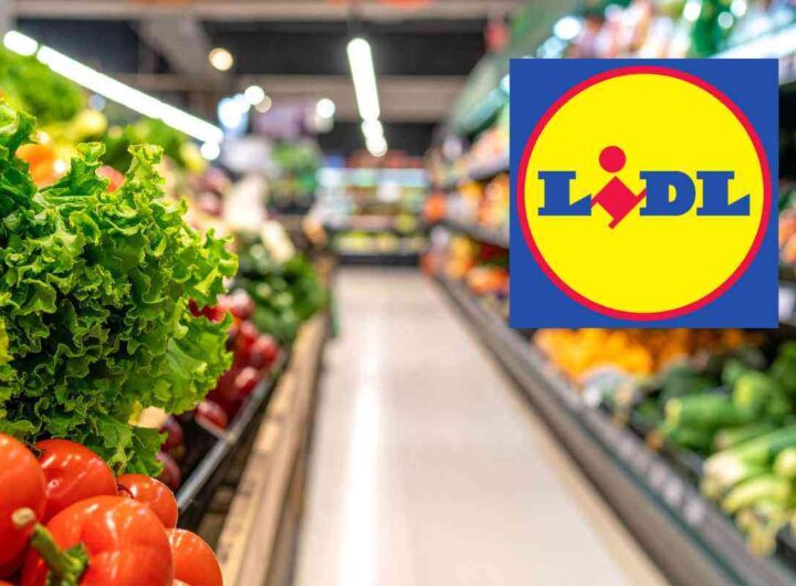 Lidl: caos alle casse! I prodotti più desiderati ora costano meno di 10 euro, i dettagli