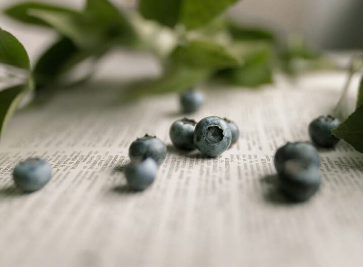mirtilli per una dieta sana