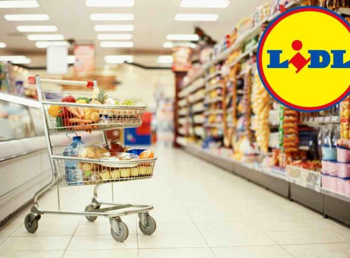 Lidl è impazzito: l'elettrodomestico Bosch più venduto ora è a metà prezzo!