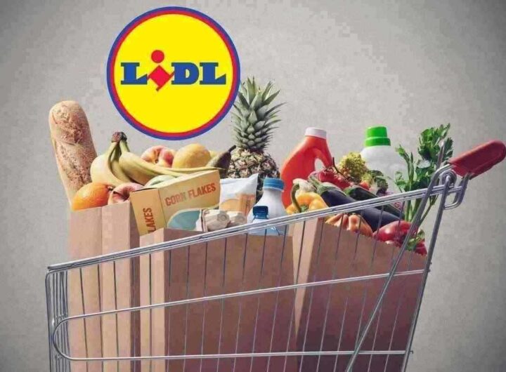 gran risparmio da lidl con le super offerte