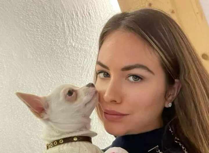 pamela genini e la cagnolina bianca