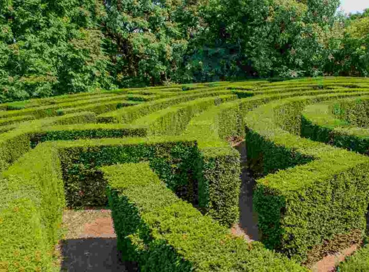 Giardini dell'infinito