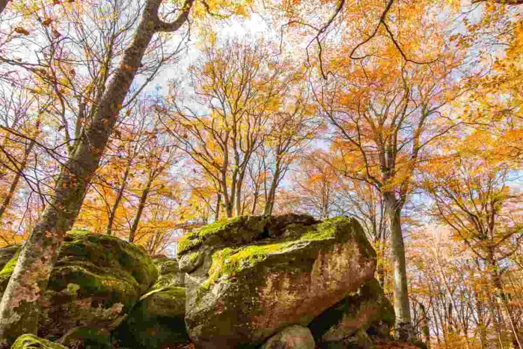 Il borgo sospeso nel tempo, un viaggio tra i vicoli medievali più belli d’Italia, i dettagli
