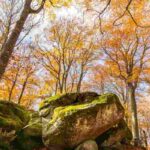 Il borgo sospeso nel tempo, un viaggio tra i vicoli medievali più belli d’Italia, i dettagli