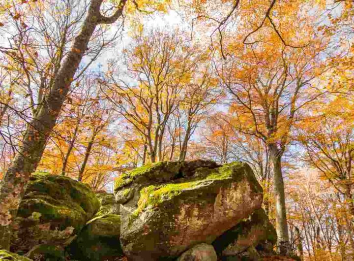 Il borgo sospeso nel tempo, un viaggio tra i vicoli medievali più belli d’Italia, i dettagli