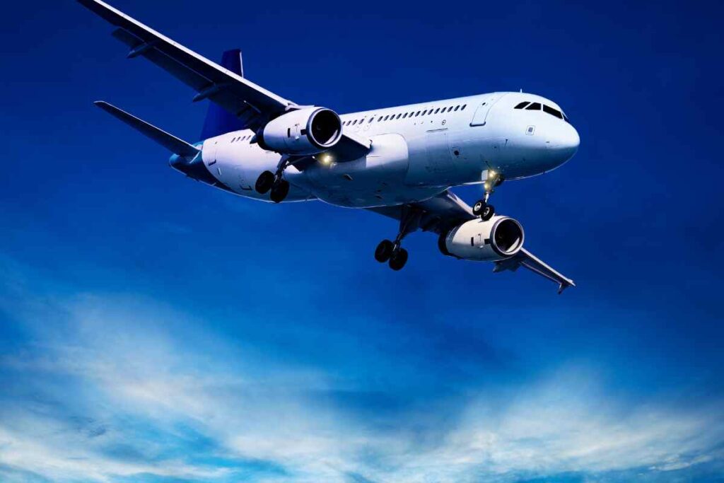 Voli aerei, non potrai più portarla con te