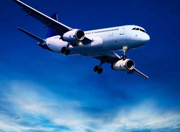 Voli aerei, non potrai più portarla con te