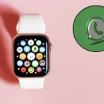 Le ultime novità riguardano due fronti principali: una nuova funzione per gli amministratori dei canali su Android e il debutto imminente