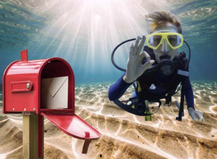 Nella splendida cornice della Baia di Jemeluk, ad Amed, nella parte orientale dell'isola di Bali, si trova una delle installazioni