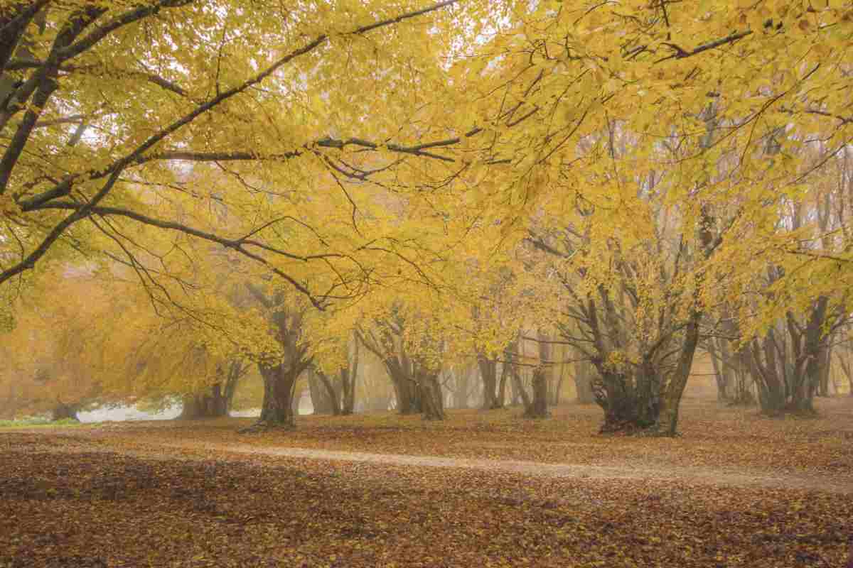 L’oasi segreta d’Italia, un luogo magico e incontaminato dove la natura regna sovrana: in pochi lo conoscono
