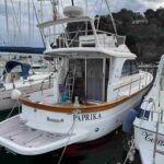 Le elezioni regionali e Fico mandano in fibrillazione la politica per un gozzo di 10 metri