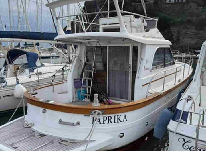 Le elezioni regionali e Fico mandano in fibrillazione la politica per un gozzo di 10 metri