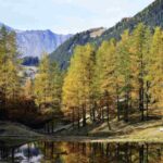 Un piccolo specchio d’acqua incastonato in una torbiera a quota panoramica, circondato da pascoli, pietraie glaciali e antichi alpeggi,