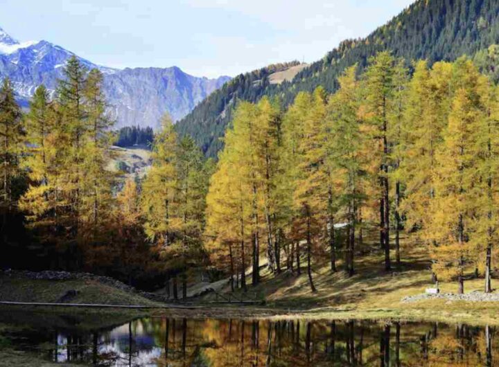 Un piccolo specchio d’acqua incastonato in una torbiera a quota panoramica, circondato da pascoli, pietraie glaciali e antichi alpeggi,