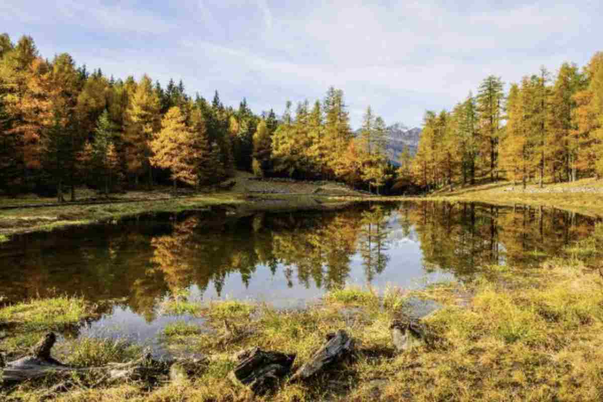 Il percorso verso il Laghetto di Mottala è accessibile e adatto a tutti: si può arrivare comodamente in auto fino a un punto nei pressi del lago