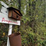 casa nel bosco in abruzzo