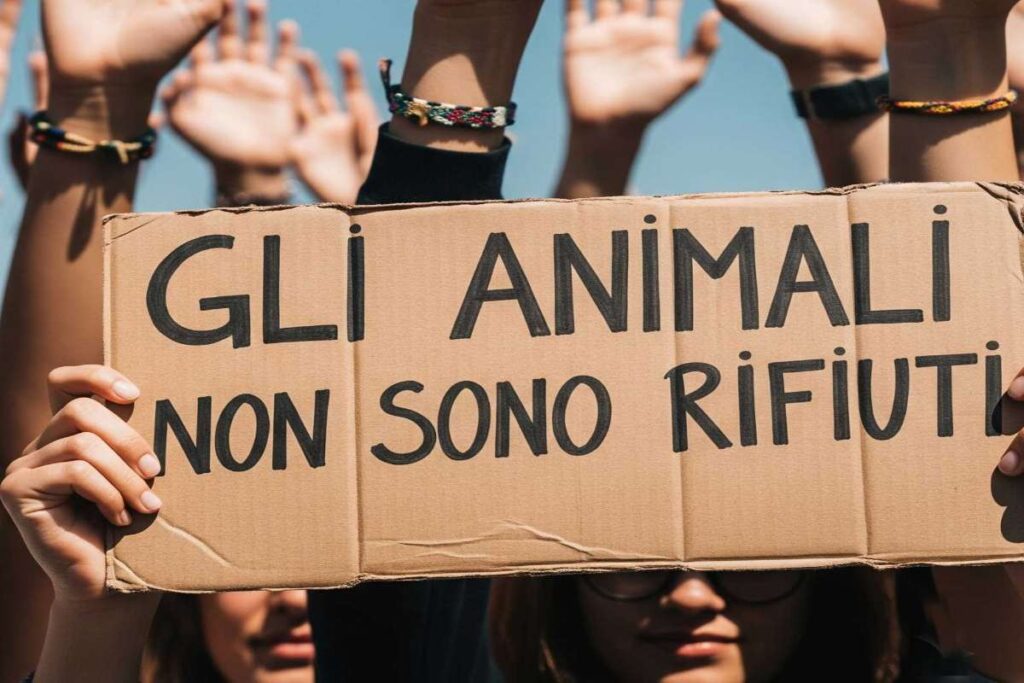 Gli animali non sono rifiuti