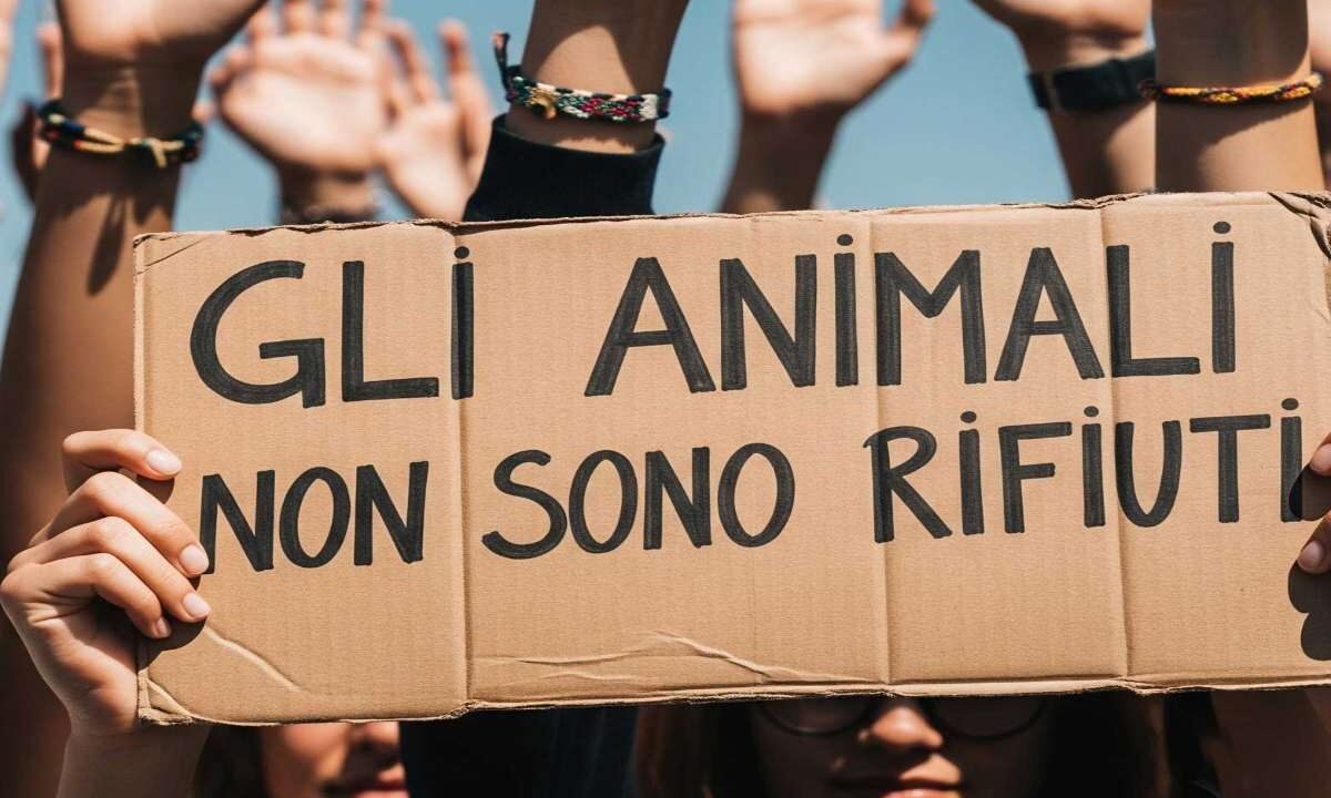 Gli animali non sono rifiuti