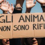 Gli animali non sono rifiuti