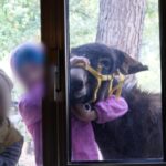 bambini famiglia bosco in abruzzo