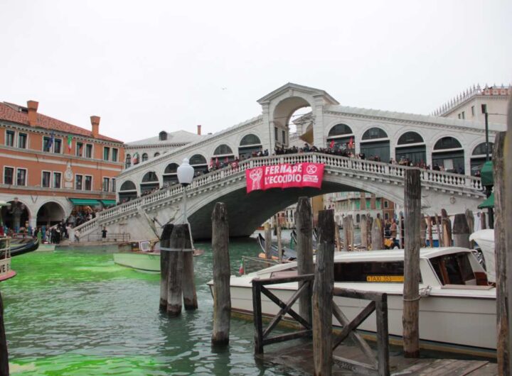 il canal grande di venezia colorato di verde