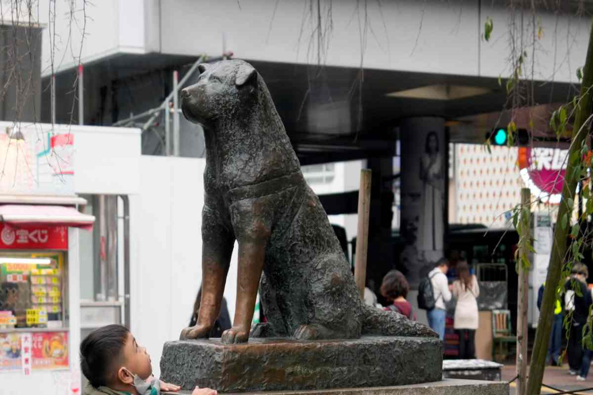 Il cane Hachiko