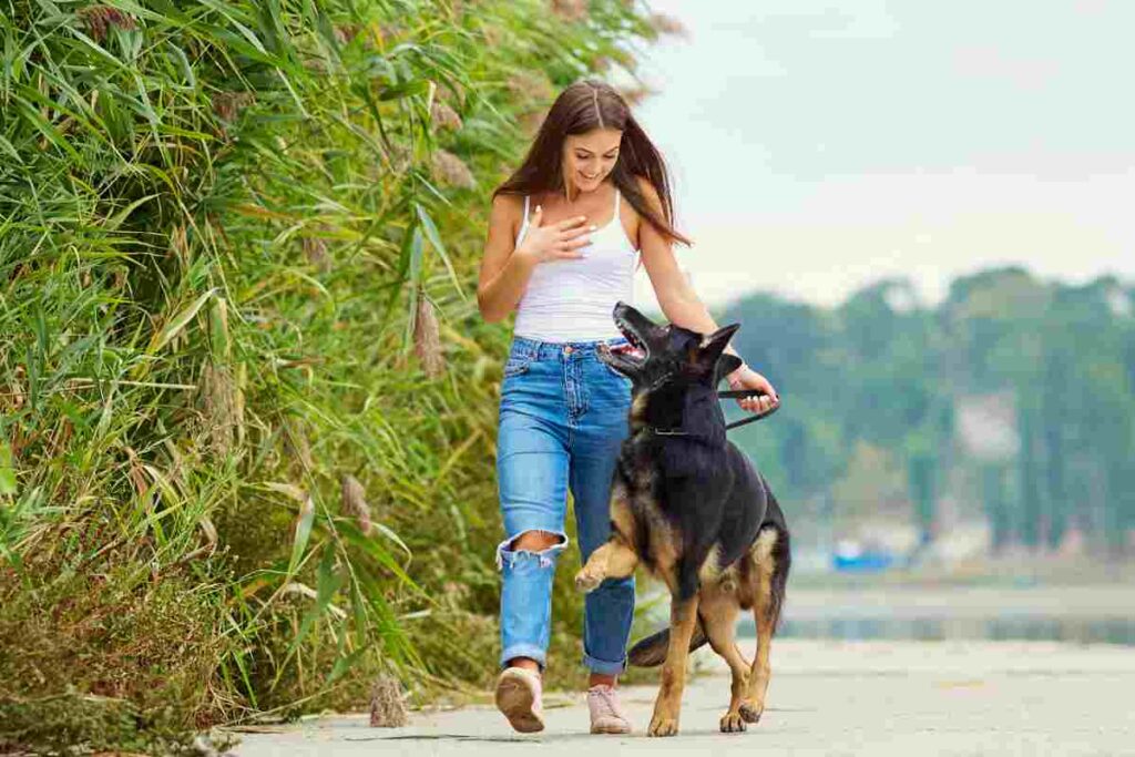 Il test facile e veloce per scoprire se il tuo cane è in sovrappeso