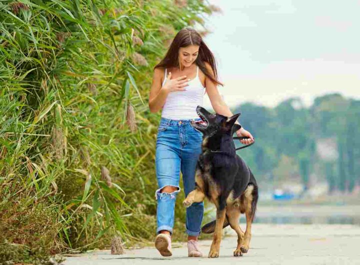 Il test facile e veloce per scoprire se il tuo cane è in sovrappeso