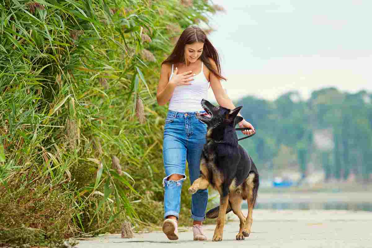 Il test facile e veloce per scoprire se il tuo cane è in sovrappeso: come farlo