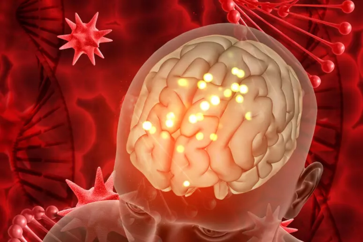 cervello riproduzione grafica