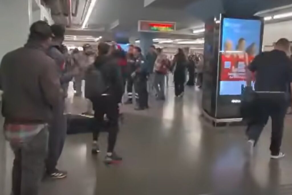 aggressione cicalone