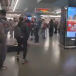 aggressione cicalone