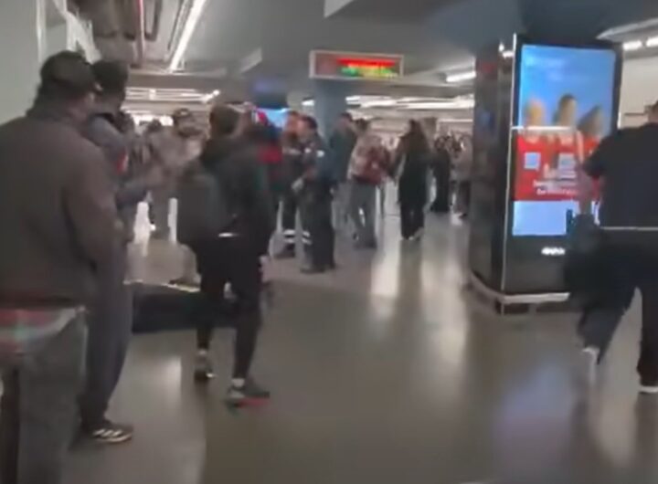 aggressione cicalone