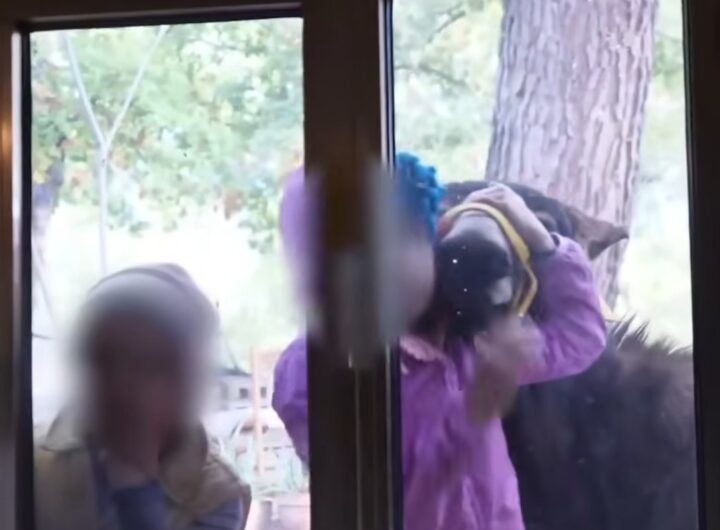 famiglia che vive nel bosco in abbruzzo