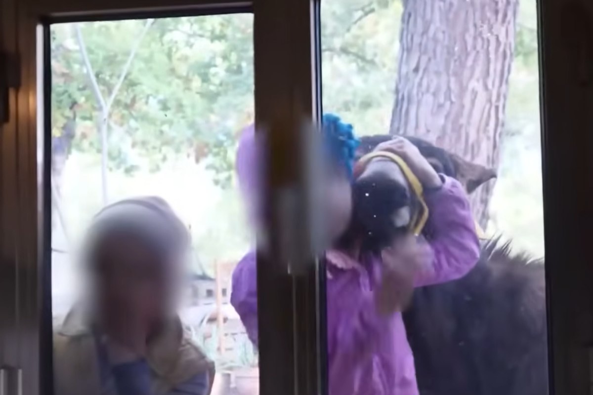 Occhio alla famiglia che ha scelto di vivere nel bosco in Abruzzo, la rivolta al sistema educativo classico è dietro l’angolo