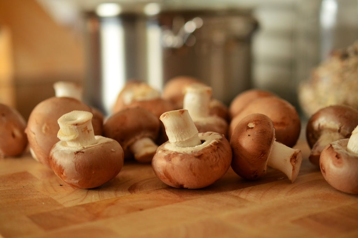 funghi porcini