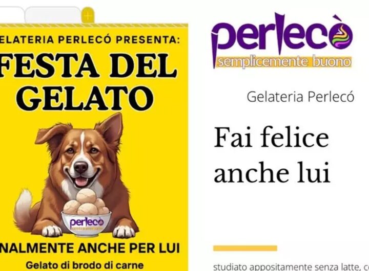 Il gelato per cani