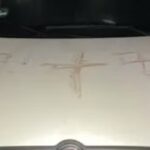 germania svastiche su auto