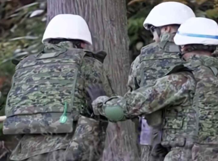 Esercito giapponese schierato per fermare gli attacchi degli orsi